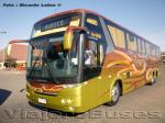 Comil Campione Vision 3.65 / Mercedes Benz O-500RSD / SerenaMar