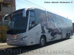 Irizar Century 3.90 / Mercedes Benz O-500RSD / Kenny Bus