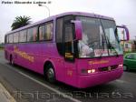 Busscar El Buss 340 / Scania K113 / Evans