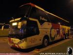 Zhong Tong LCK6137 Half Deck / Pullman Carmelita