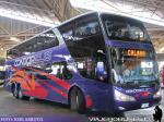 Modasa New Zeus II / Mercedes Benz O-500RSD / Condor Bus