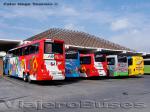 Flota de Buses Pullman Carmelita