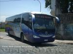 Flota de Buses Linea Azul