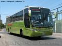 Busscar Vissta Buss LO / Mercedes Benz O-500R / Tur-Bus