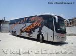 Irizar Century 3.90 / Mercedes Benz O-500RSD / Kenny Bus