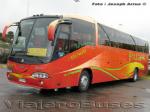 Irizar Century / Scania K124IB / Pullman Palmira