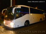 Irizar InterCentury / Mercedes Benz O-500R / Especial - Serena Mar