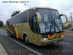 Marcopolo Viaggio 1050 / Scania K340 / Evans