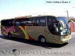 Marcopolo Viaggio 1050 / Scania K340 / Evans