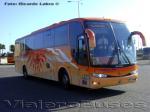 Marcopolo Viaggio 1050 / Volvo B9R / Pullman Bus