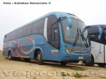 Maxibus Lince 3.45 / Mercedes Benz O-500RS / Pullman Carmelita - Servicio Especial