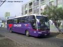 Marcopolo Andare Class 1000 / Scania K114IB / Condor