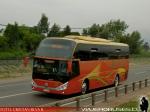 Zhong Tong LCK6137H / Palmira