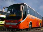 Zhong Tong LCK6125H Creator / Pullman Palmira