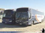 Comil Campione 3.65 / Volvo B12R - Irizar Century / Mercedes Benz O-500RS / Cruz del Norte