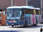 Comil Campione 3.45 / Mercedes Benz O-500RS / Pullman Cuevas