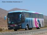 Comil Campione Vision 3.45 / Mercedes Benz O-500RS / Pullman Cuevas - Servicio Especial