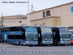 Marcopolo Paradiso 1800DD / Volvo B12R - Scania K420 & K124IB / Unidades Ciktur