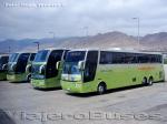 Flota de Buses Tur-Bus