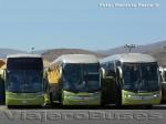 Busscar Jum Buss 380 - Marcopolo Paradiso G7 1200 / Mercedes Benz O-500RS - O-500RSD / Tur-Bus