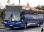 Busscar Vissta Buss HI / Mercedes Benz O-500RSD / Buses Palacios