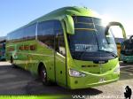 Irizar I6 / Mercedes Benz OC-500RF / Buses Turis Norte por Cormar Bus