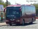 Irizar Caio Century / Mercedes Benz O-400RSE / Pullman Santa Rosa