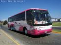 Busscar El Buss 340 / Mercedes Benz O-400RSE / Pullman Bus