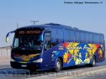 Flota de Buses Linea Azul