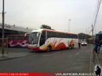 Maxibus Lince 3.65 / Mercedes Benz O-500RSD / Evans