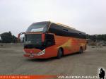 Zhong Tong Navigator LCK6137H / Palmira