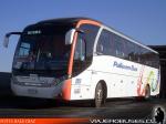 Neobus New Road N10 360 / Scania K360 / Pullman Bus