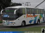 Irizar Century / Mercedes Benz O-500R / Buses Palacios