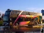 Modasa New Zeus II / Volvo B420 / Pullman Bus