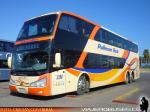 Modasa New Zeus II / Volvo B420R / Pullman Bus