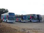 Unidades Elqui Bus El Caminante del Desierto