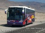 Busscar Vissta Buss LO / Scania K340 / Flota Barrios