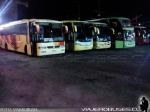 Vista Nocturna Terminal Iquique