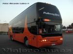 Young Man JNP6137S SE / Pullman Bus