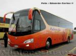 Yutong ZK6129HE / Pullman Bus