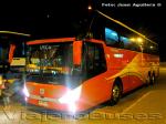 Unidades Zhong Tong Navigator LCK6137H / Palmira