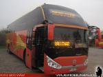 Zhong Tong Navigator LCK6137H / Palmira