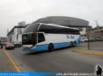 Zhong Tong Navigator LCK6137H / Pullman Palmira