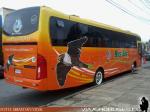 Mascarello Roma MD / Mercedes Benz OF-1722 / Bus Sur