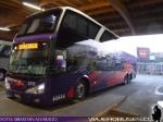 Modasa New Zeus II / Mercedes Benz O-500RSD / Condor Bus