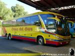 Marcopolo Paradiso G7 1200 / Mercedes Benz O-500RSD / Cruz del Sur