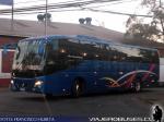 Golden Dragon / Buses Diaz