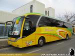 Neobus New Road N10 360 / Volvo B380R / Talmocur