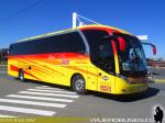 Neobus New Road N10 360 / Mercedes Benz O-500RS / Terma Tur