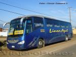 Irizar Century / Mercedes Benz O-400RSE / Linea Azul